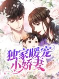独家暖宠小娇妻林沛儿江慕君