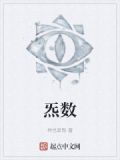 炁数
