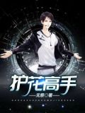 护花高手1