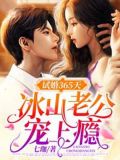 试婚365天:冰山老公宠上瘾
