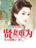 情非得已：贤妻难为
