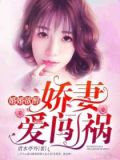 婚婚欲醉:娇妻爱闯祸