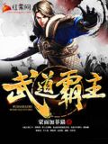 武道天帝(又名:武道霸主)