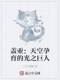 盖亚:天空孕育的光之巨人