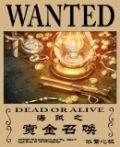 海贼之赏金召唤