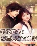 千亿萌宝:神偷妈咪首席爹