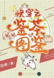 快穿之鉴茶图鉴
