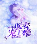 一婚到底:暖妻宠上瘾