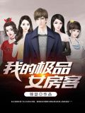 我的极品女房客