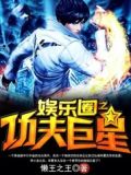 娱乐圈之功夫巨星