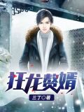 狂龙赘婿(又名:上门女婿、狂兵赘婿)