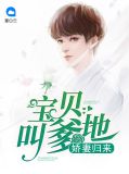 娇妻归来:宝贝叫爹地叶唯