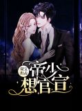 双宝出击:帝少想官宣