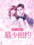 奉天承孕:慕少照约