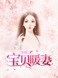 三爷的宝贝暖妻温情霍庭深