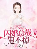 闪婚总裁甩不掉周延琛