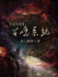 废柴的召唤系统