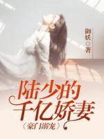 豪门溺宠:陆少的千亿娇妻