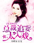 宠妻99天:总裁追妻太入戏