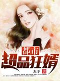 都市超品狂婿