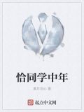 恰同学中年