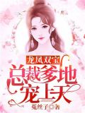 龙凤双宝:总裁爹地宠上天