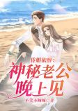 昏婚欲醉:神秘老公晚上见