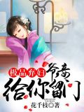极品弃妇:王爷太傲娇