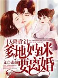 天降萌宝:爹地,妈咪要离婚