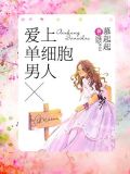 爱上单细胞男人