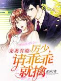 宠妻有瘾:厉少,请乖乖就擒