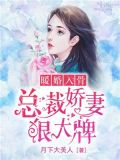 暖婚入骨,总裁娇妻狠大牌