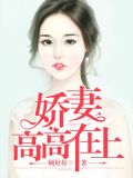 娇妻高高在上(又名:总裁轻点宠)