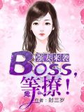 强妻来袭：BOSS，等撩！