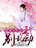 爆宠小医妃:王爷,别乱动