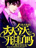 花式宠妻:夫人今天开挂了吗