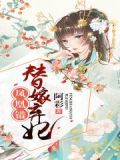 凤凰错:替嫁弃妃