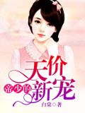 帝少的天价新宠