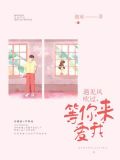 遇见风吹过,等你来爱我