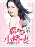 总裁嗜宠:霸气小娇妻