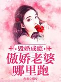 毁婚成瘾:傲娇老婆哪里跑