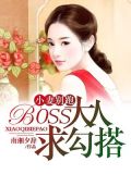 小妻别跑:BOSS大人求勾搭