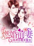 燃婚前妻:高冷总裁求复合
