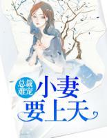 总裁难宠:小妻要上天