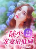 萌宝来袭:陆少宠妻请低调