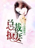 总裁撩妻