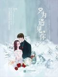只为遇见你