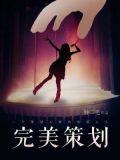 完美策划