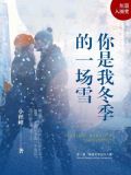 你是我冬季的一场雪
