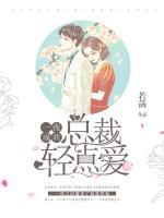 一夜成欢:总裁轻点爱